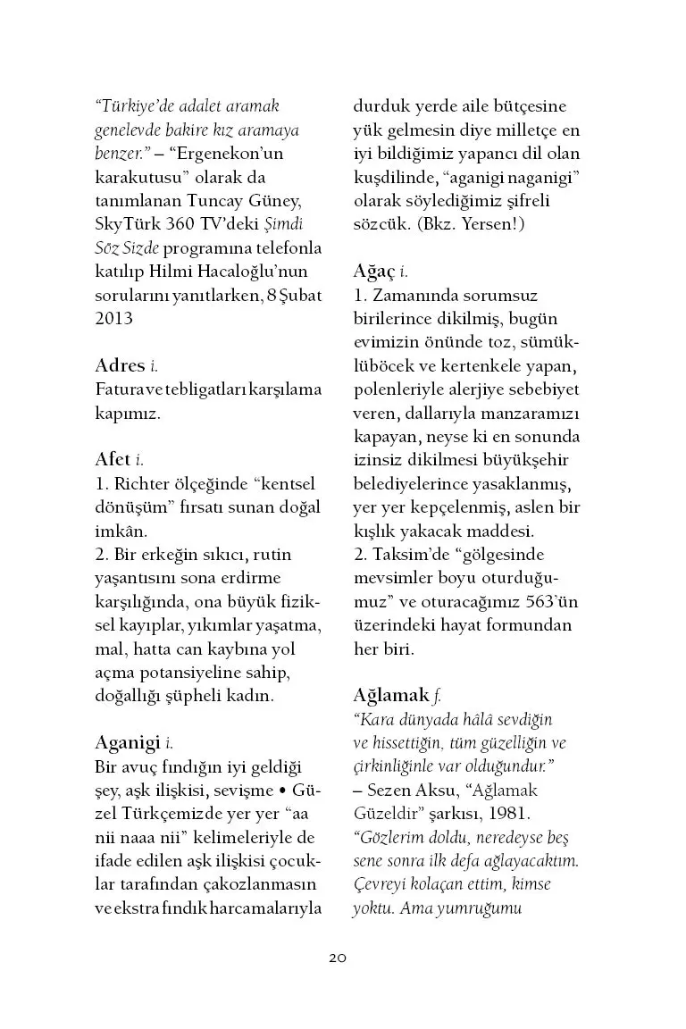 Sokaktaki İnsanın TC Sözlüğü - Görsel 17