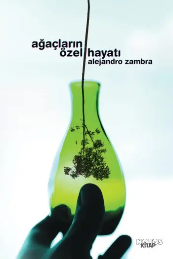 Ağaçların Özel Hayatı