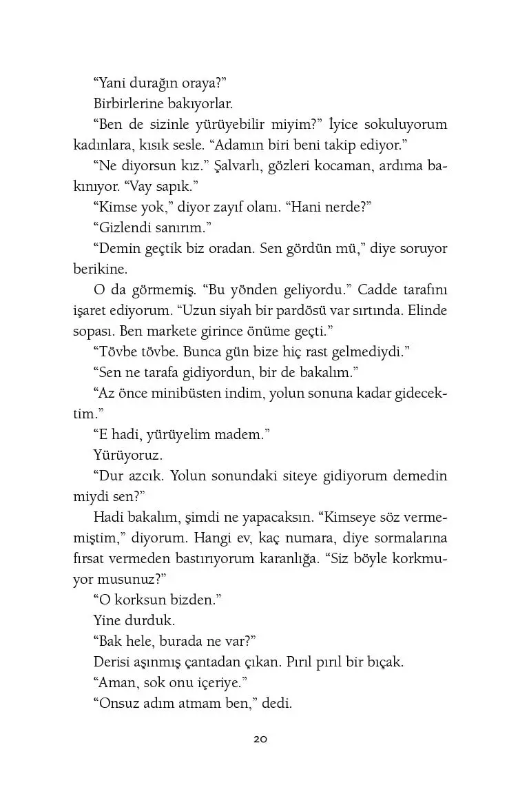 Aramızda Bir Bahçe Yakınlığı - Görsel 17