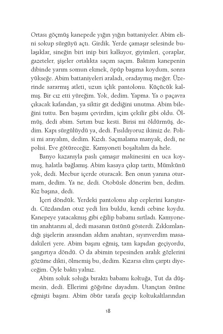 Ateşle Yaklaşma - Görsel 17