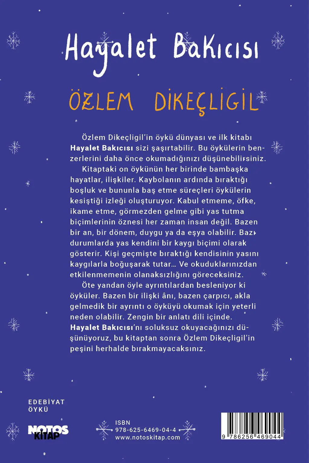 Hayalet Bakıcısı - Görsel 2