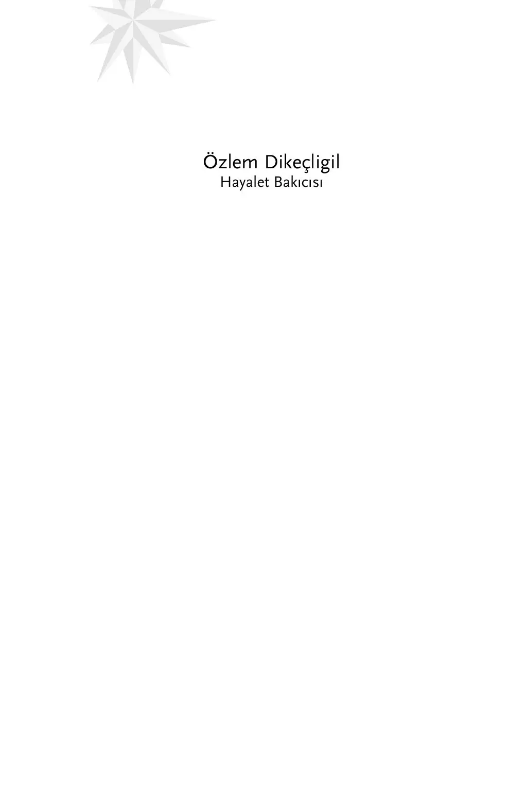 Hayalet Bakıcısı - Görsel 4