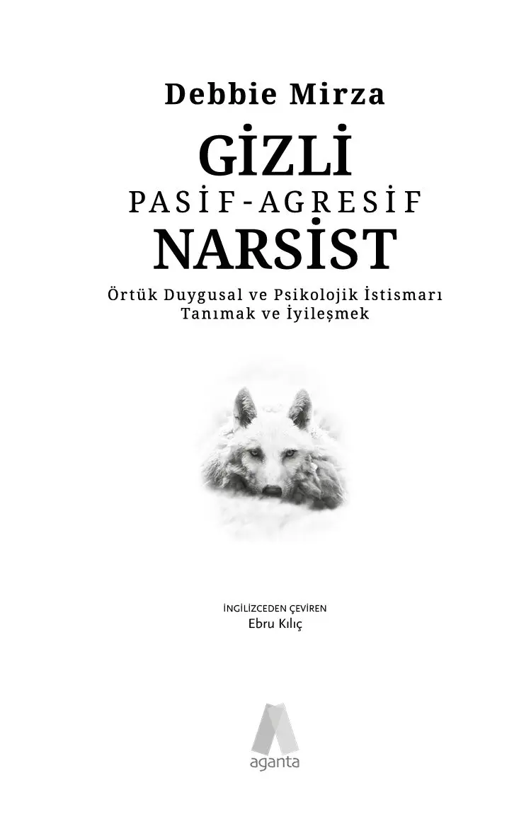 Gizli Pasif-Agresif Narsist - Görsel 6