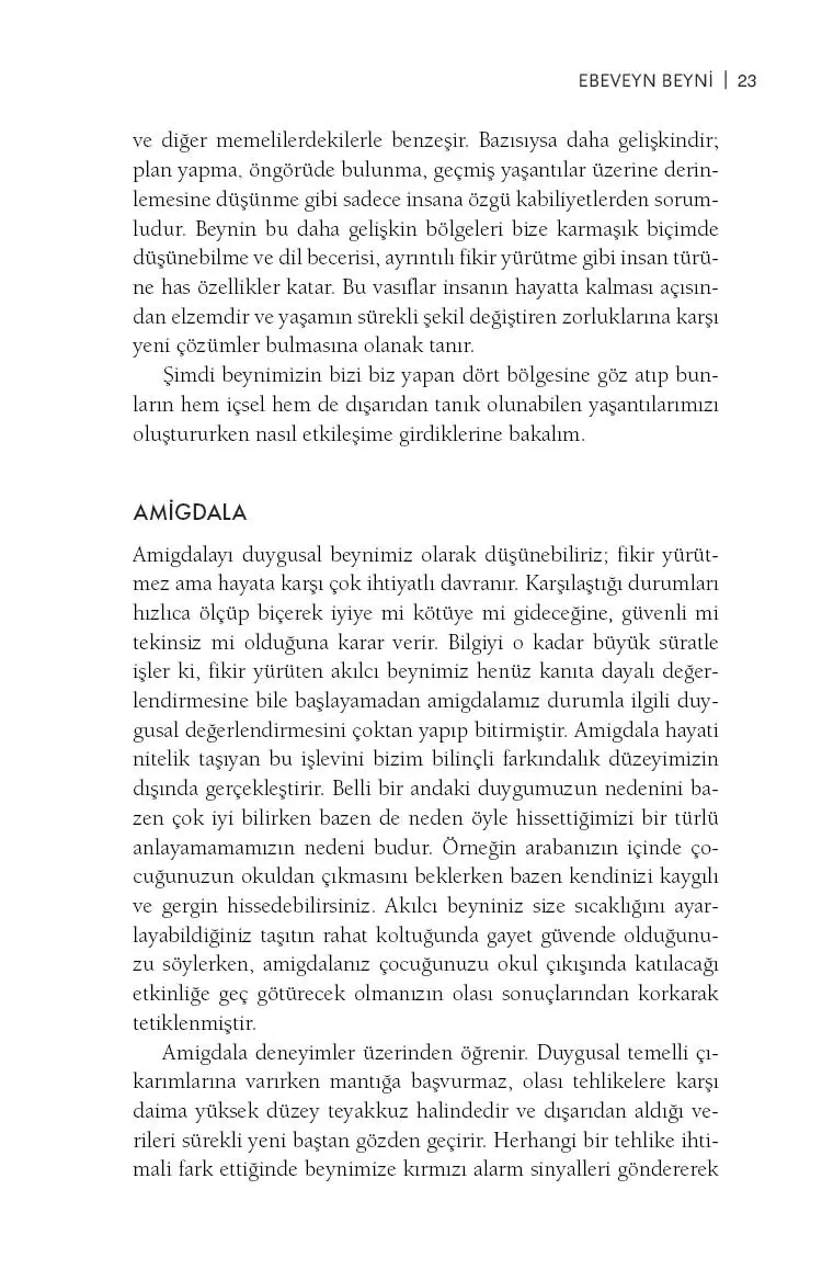 Kaygılı Ebeveyn - Görsel 22