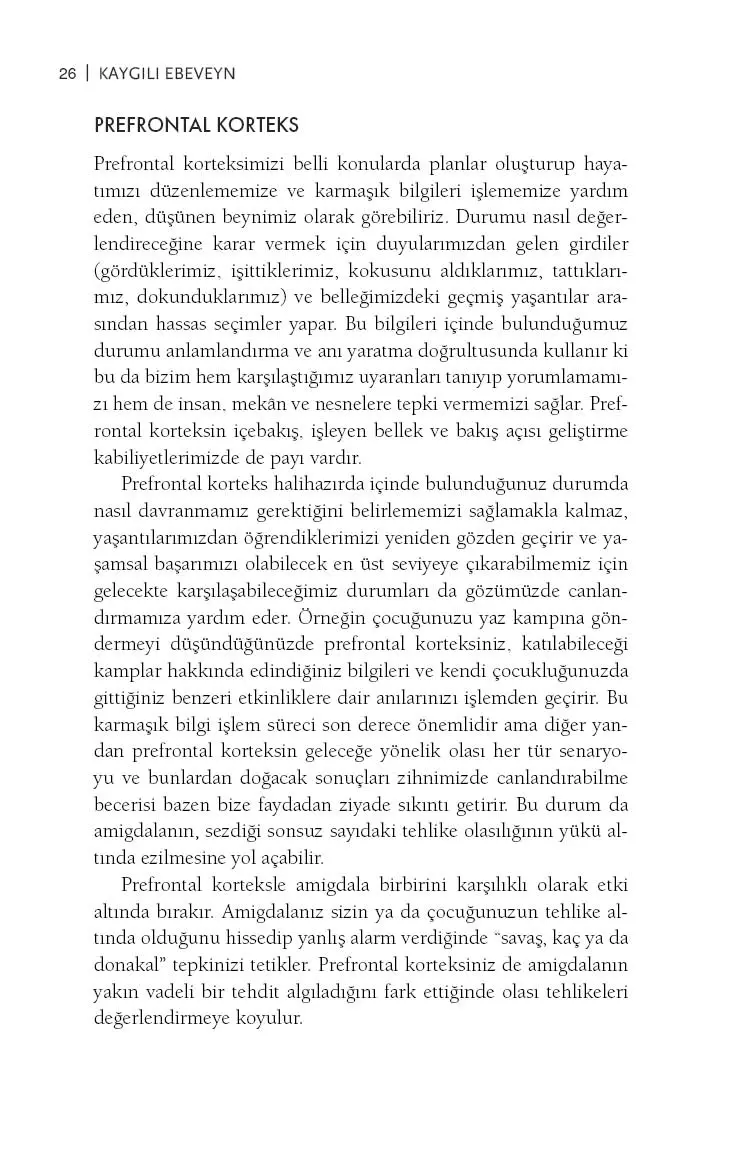 Kaygılı Ebeveyn - Görsel 25