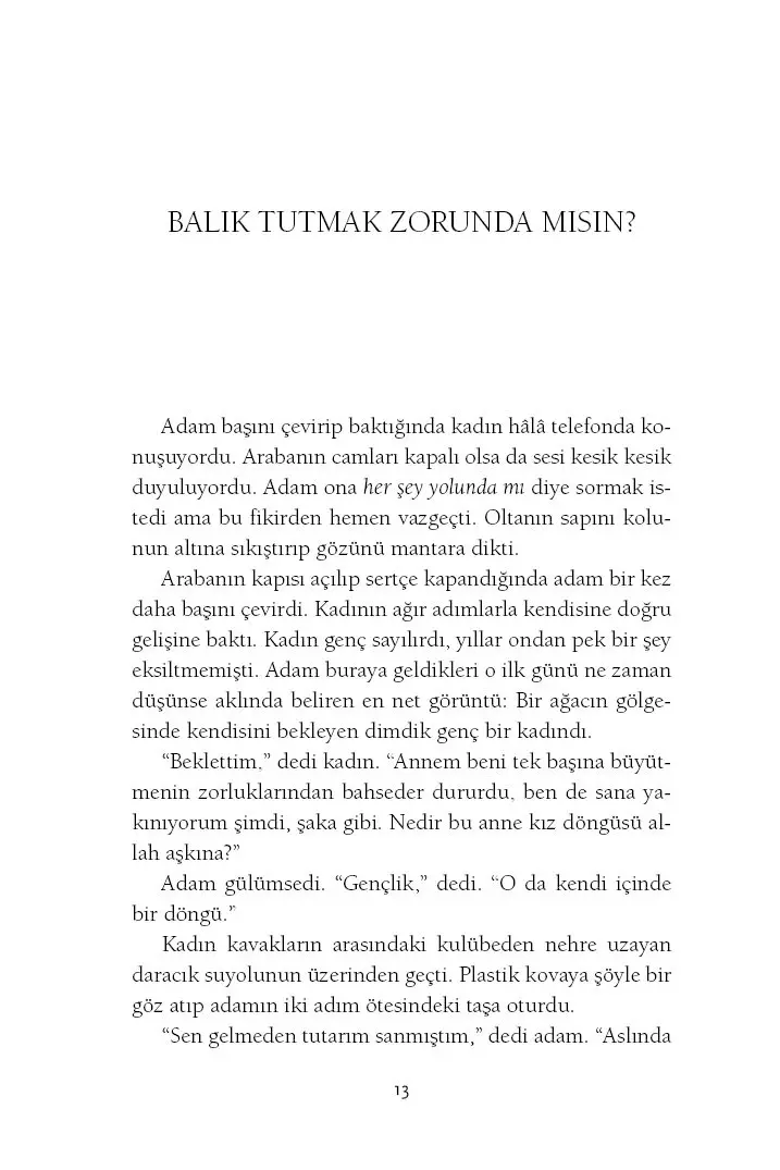 Manzaradan Geçmek - Görsel 9