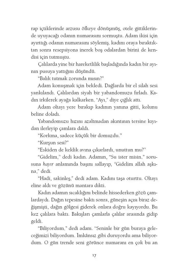 Manzaradan Geçmek - Görsel 13