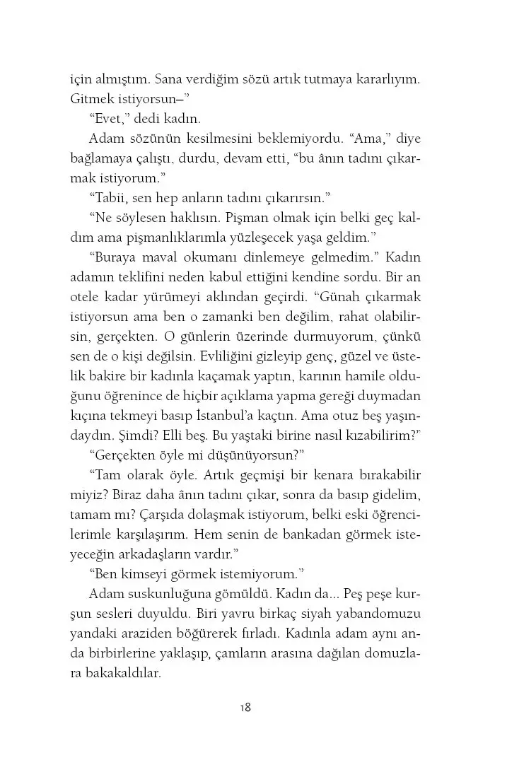 Manzaradan Geçmek - Görsel 14