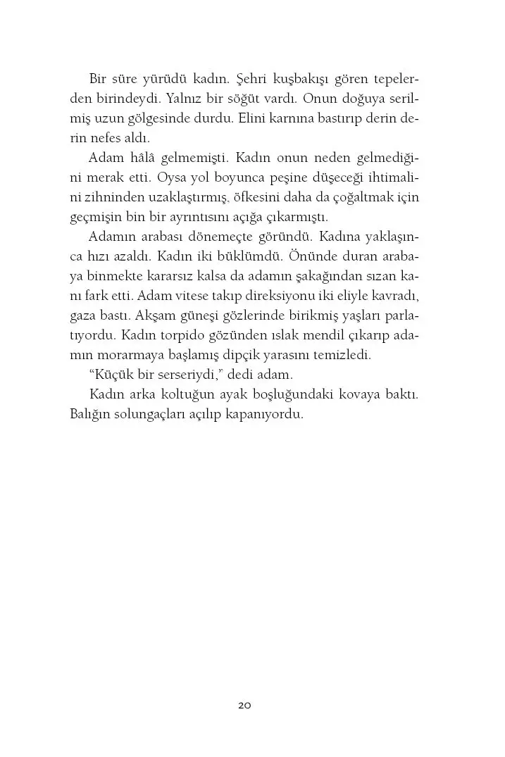 Manzaradan Geçmek - Görsel 16