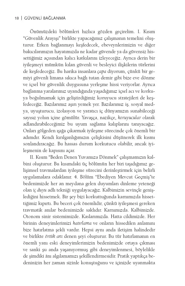 Güvenli Bağlanma - Görsel 16