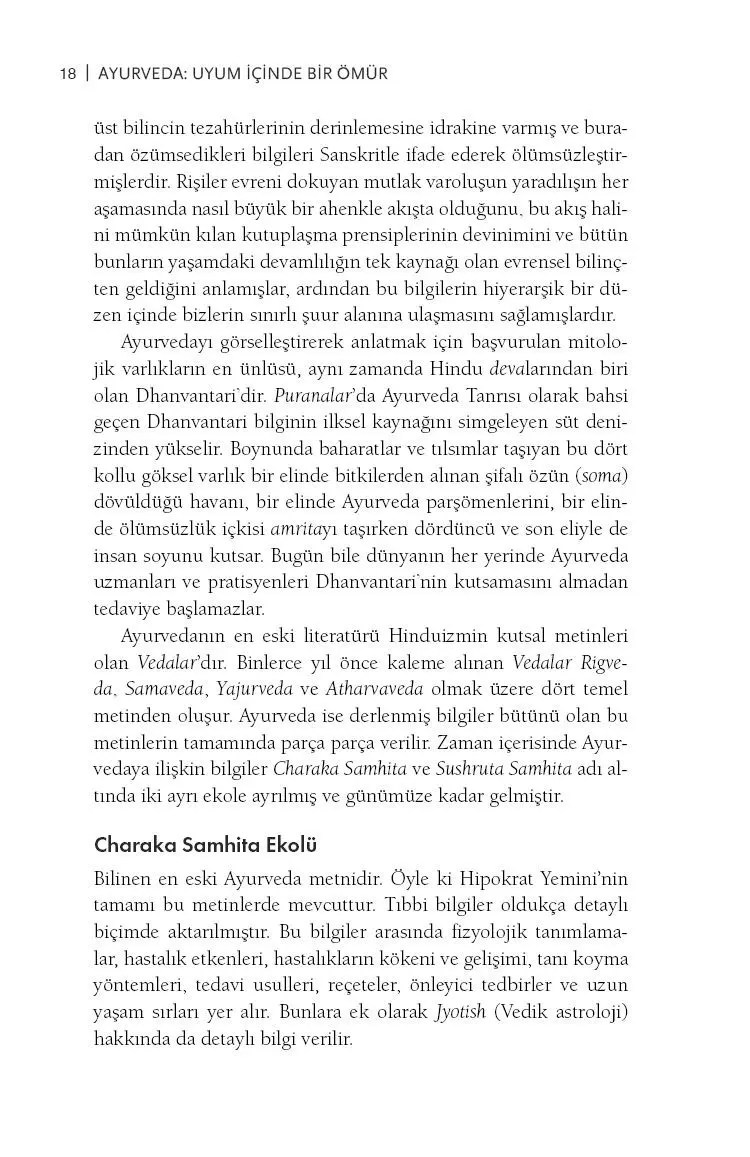 Ayurveda - Görsel 16