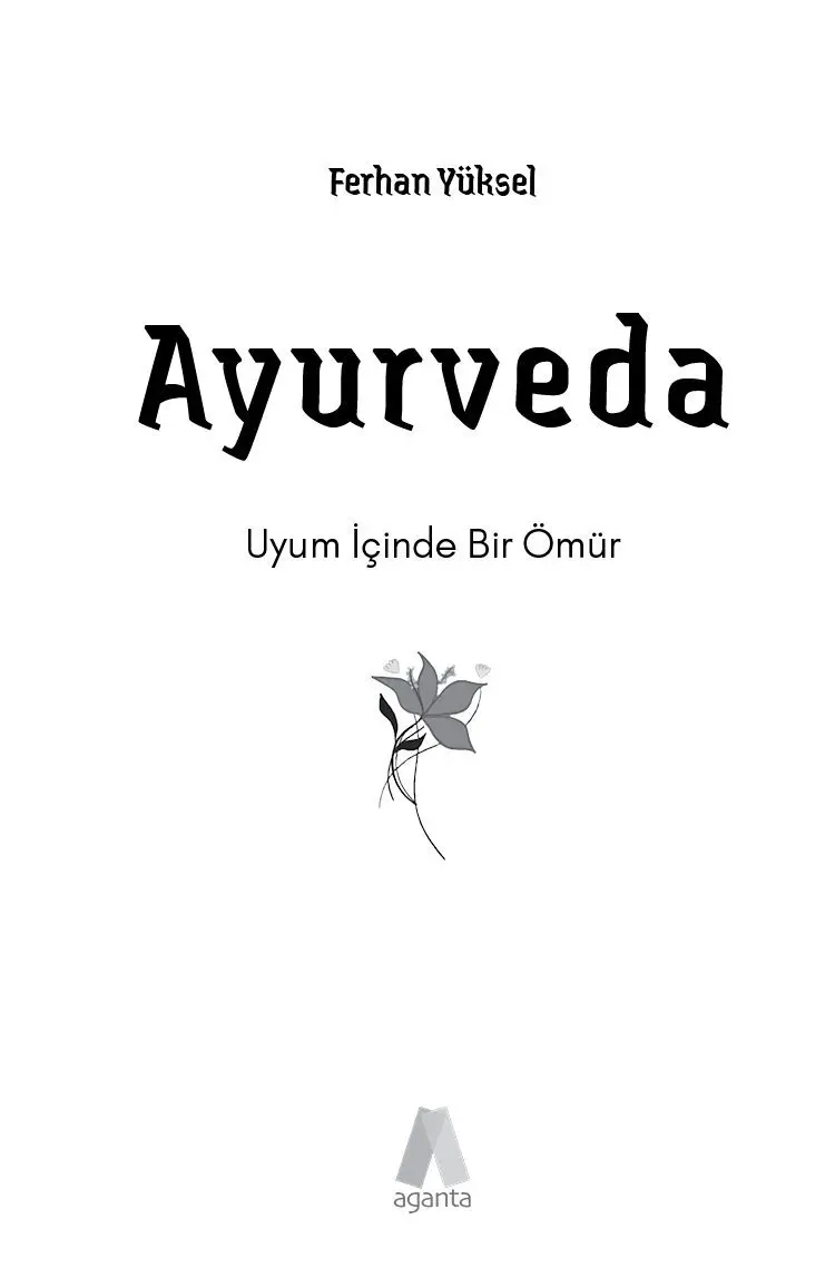 Ayurveda - Görsel 6