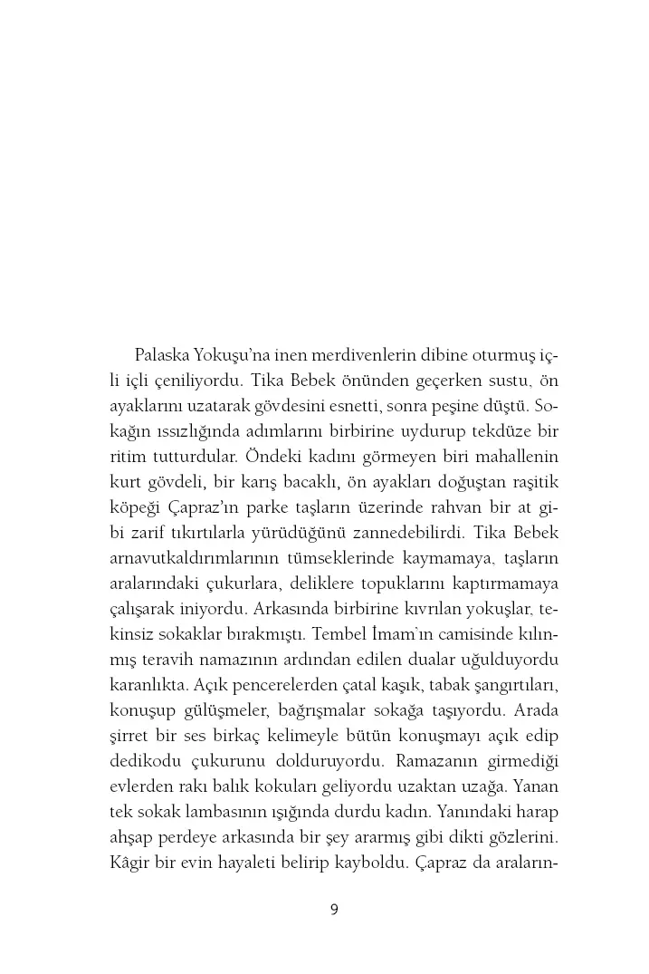 Dünyaya Yakın, Eve Uzak - Görsel 8
